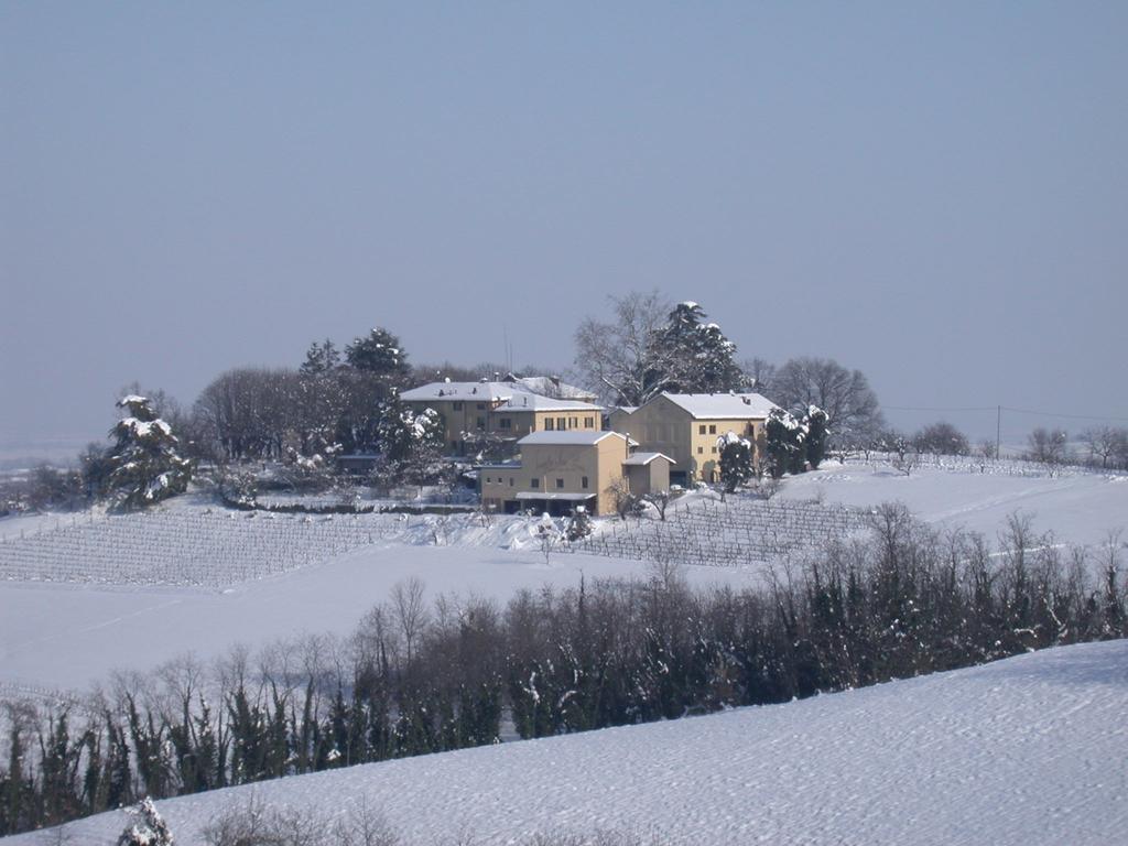 Conzano Tenuta San Rocco מראה חיצוני תמונה